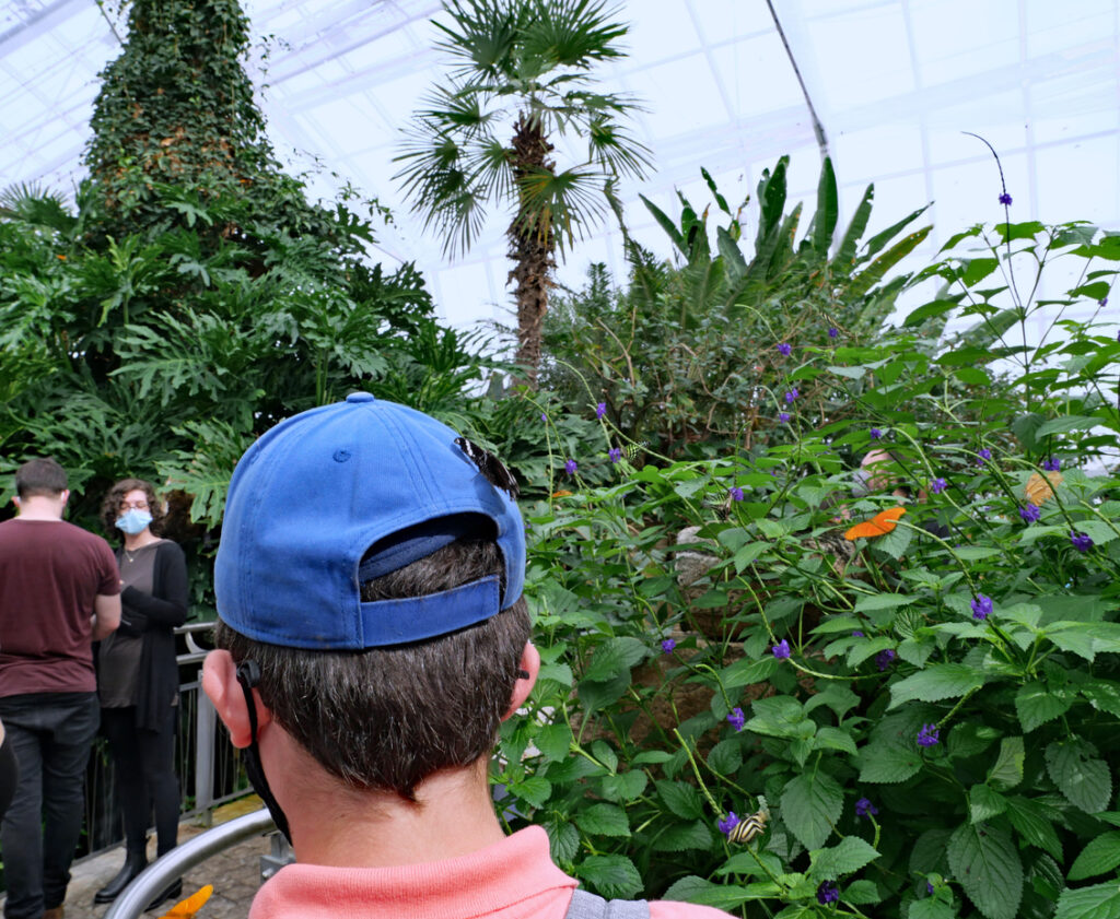 Butterfly conservatory niagara